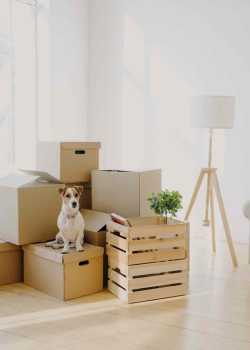 residential emergency moving moving movers foreman