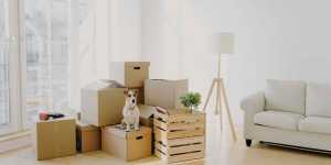 SeniorMoveManagersCanHelpOlderAdultsAchieveAStressFreeMove Emergency Moving Corp residential emergency moving moving movers foreman